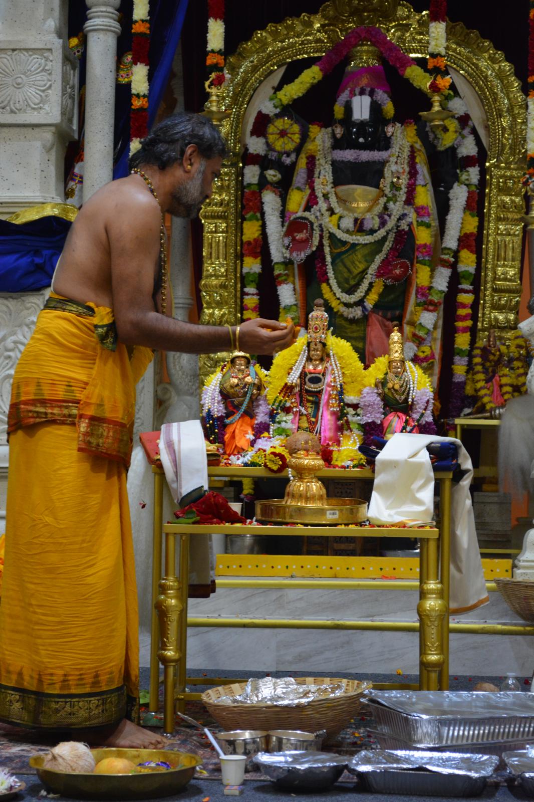 Gallery Image 26